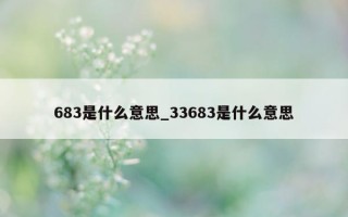 683 是什么意思_33683 是什么意思