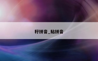 籽拼音_粘拼音