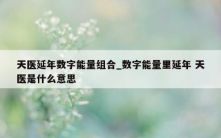 天医延年数字能量组合_数字能量里延年 天医是什么意思