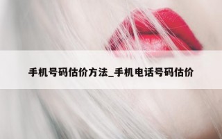 手机号码估价方法_手机电话号码估价