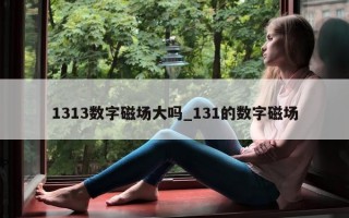 1313 数字磁场大吗_131 的数字磁场