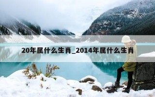 20 年属什么生肖_2014 年属什么生肖