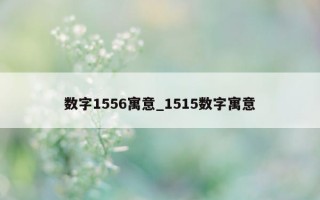 数字 1556 寓意_1515 数字寓意