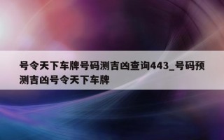 号令天下车牌号码测吉凶查询 443_号码预测吉凶号令天下车牌