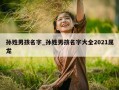 孙姓男孩名字_孙姓男孩名字大全2021属龙