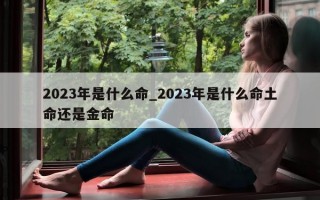 2023 年是什么命_2023 年是什么命土命还是金命