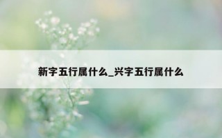 新字五行属什么_兴字五行属什么