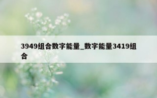 3949 组合数字能量_数字能量 3419 组合