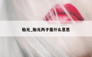 胎元_胎元丙子是什么意思