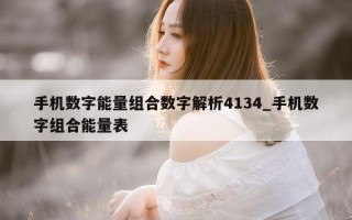 手机数字能量组合数字解析 4134_手机数字组合能量表