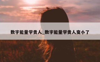 数字能量学贵人_数字能量学贵人变小了