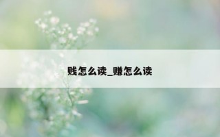 贱怎么读_赚怎么读