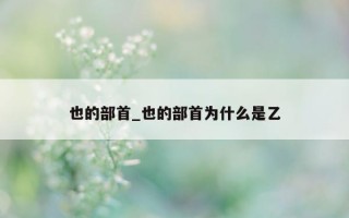 也的部首_也的部首为什么是乙