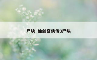 尸块_仙剑奇侠传3尸块