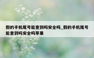 假的手机尾号能查到吗安全吗_假的手机尾号能查到吗安全吗苹果