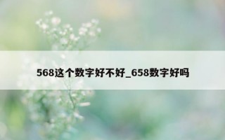 568 这个数字好不好_658 数字好吗