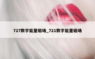 727 数字能量磁场_721 数字能量磁场