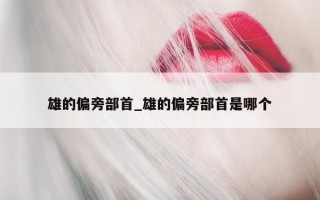 雄的偏旁部首_雄的偏旁部首是哪个