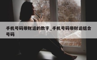 手机号码带财运的数字_手机号码带财运组合号码