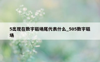 5 出现在数字磁场尾代表什么_505 数字磁场