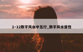 1～12 数字风水中五行_数字风水属性