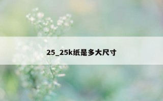 25_25k 纸是多大尺寸