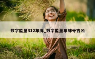 数字能量 312 车牌_数字能量车牌号吉凶