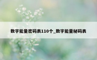 数字能量密码表 110 个_数字能量秘码表