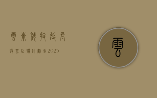 云米科技延长股票回购计划至2025年10月份