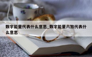 数字能量代表什么意思_数字能量六煞代表什么意思