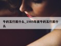 牛的五行属什么_1985年属牛的五行属什么