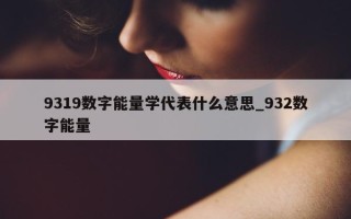 9319 数字能量学代表什么意思_932 数字能量