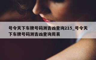 号令天下车牌号码测吉凶查询 215_号令天下车牌号码测吉凶查询周易