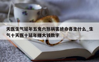 天医生气延年五鬼六煞祸害绝命各主什么_生气十天医十延年赚大钱数字