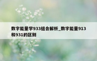 数字能量学 933 组合解析_数字能量 913 和 931 的区别