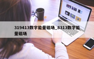 319413 数字能量磁场_8313 数字能量磁场