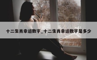 十二生肖幸运数字_十二生肖幸运数字是多少