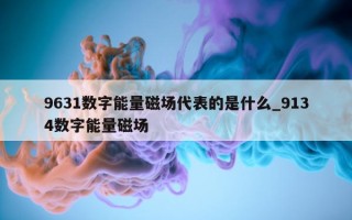 9631 数字能量磁场代表的是什么_9134 数字能量磁场