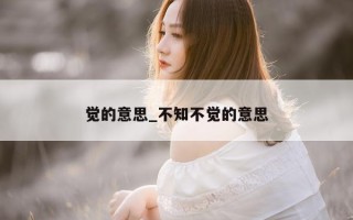 觉的意思_不知不觉的意思