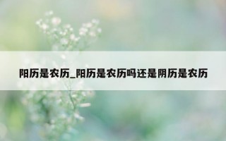 阳历是农历_阳历是农历吗还是阴历是农历