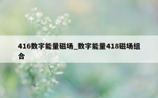 416 数字能量磁场_数字能量 418 磁场组合