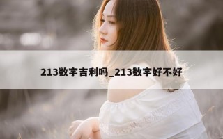 213 数字吉利吗_213 数字好不好