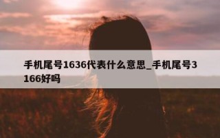 手机尾号 1636 代表什么意思_手机尾号 3166 好吗