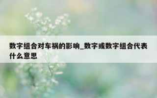 数字组合对车祸的影响_数字或数字组合代表什么意思