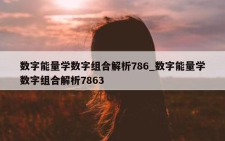 数字能量学数字组合解析 786_数字能量学数字组合解析 7863