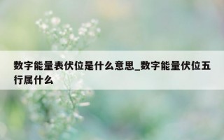 数字能量表伏位是什么意思_数字能量伏位五行属什么