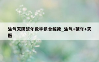 生气天医延年数字组合解读_生气 + 延年 + 天医