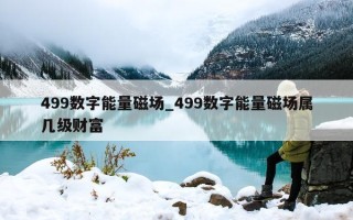 499 数字能量磁场_499 数字能量磁场属几级财富