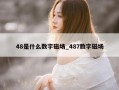 48是什么数字磁场_487数字磁场