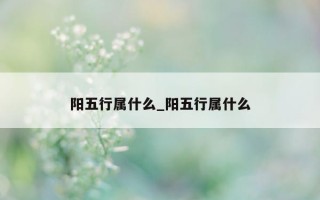 阳五行属什么_阳五行属什么